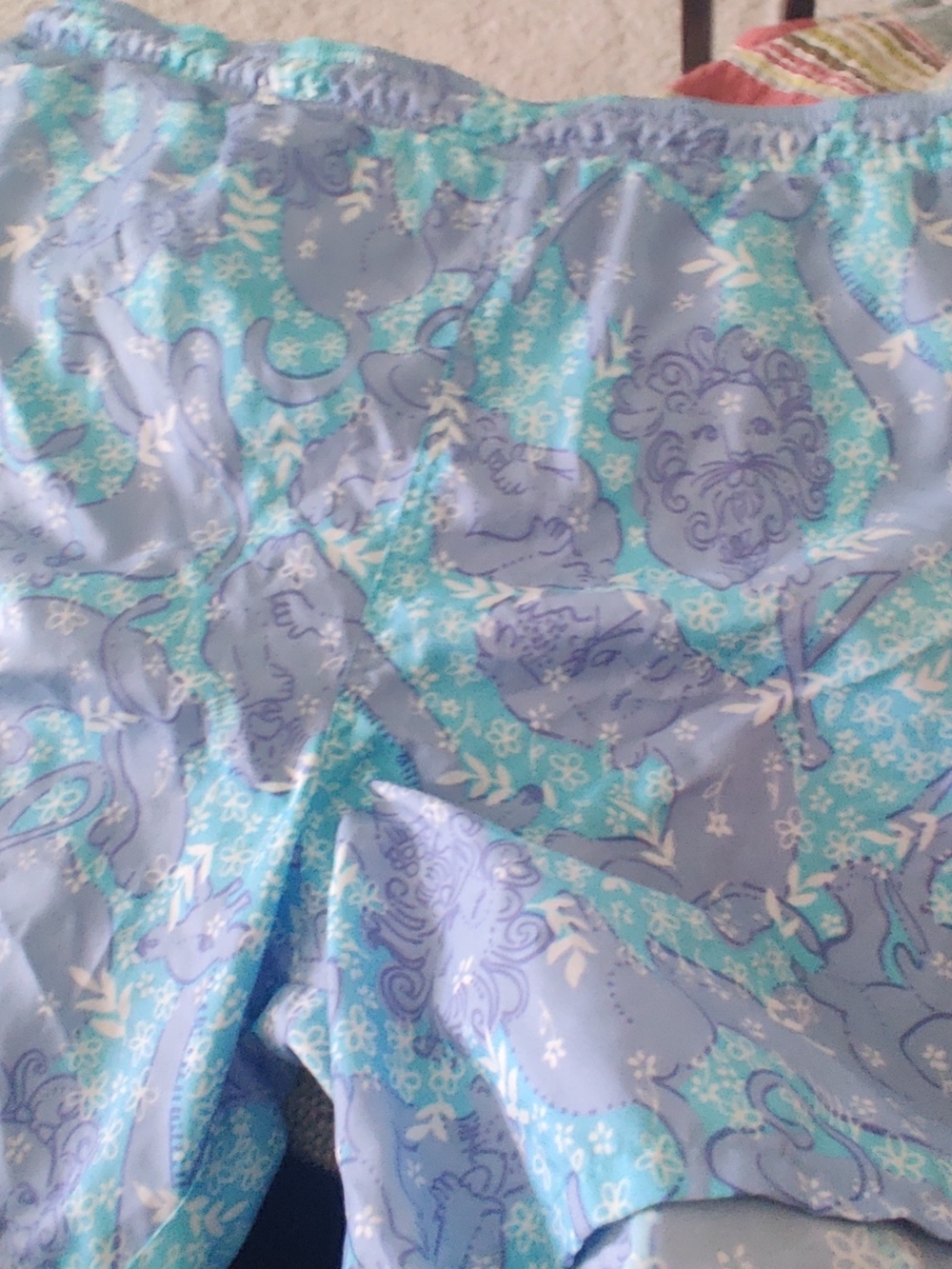 Lilly Pulitzer Light Blue and Aqua Swim Shorts Sz L